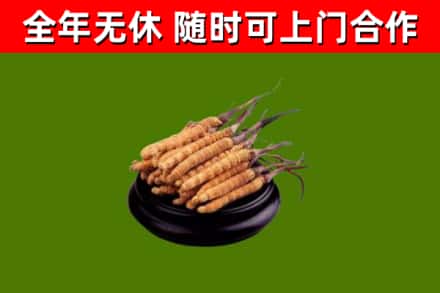 行唐县烟酒回收冬虫夏草.jpg